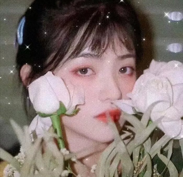 男极探射灯